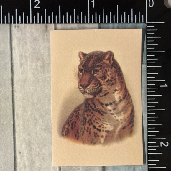 🌀10/$10🌀 Classic Vicious Cats Lion Tiger Cheetah Reusable Washi Sticker Decal - Picture 1 of 1